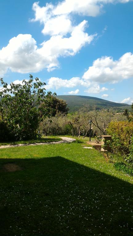 Borgo Montauto Villa ซานจีมิญญาโน ภายนอก รูปภาพ
